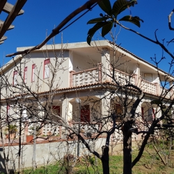 Casa Vacanze Villa Di Miceli